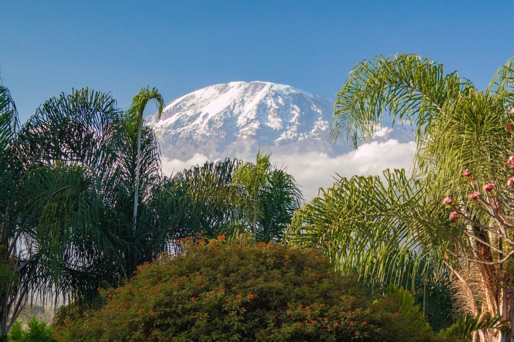 kilimanjaro, tanzania, africa