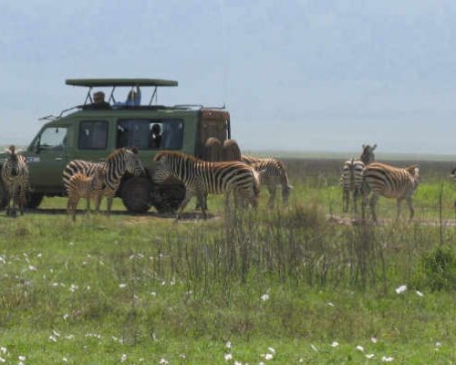 Ngorongoro-Crater-Game-Drives-1