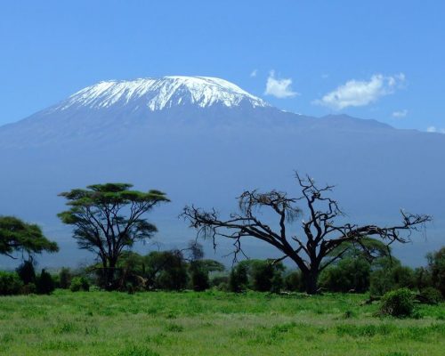 kilimanjaro-1025146-3rd-party